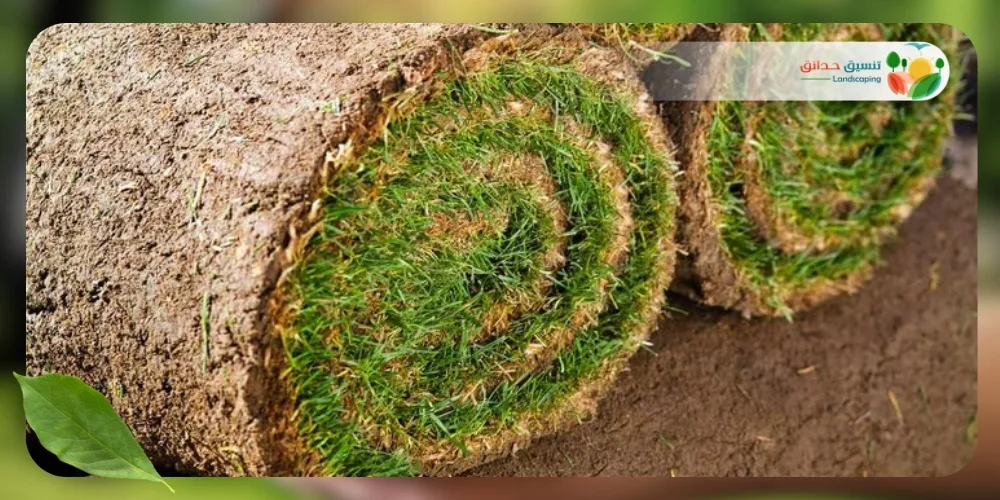 الثيل الطبيعي 1