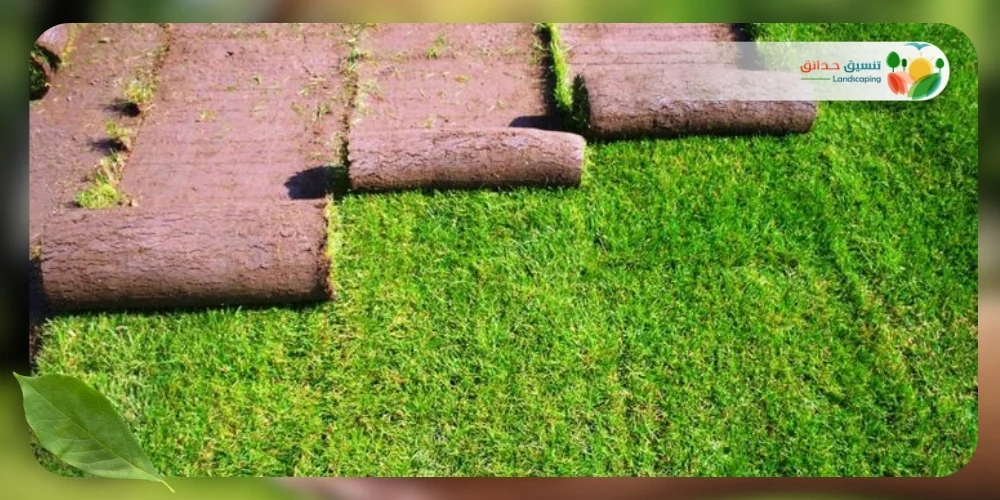 الثيل الطبيعي 2