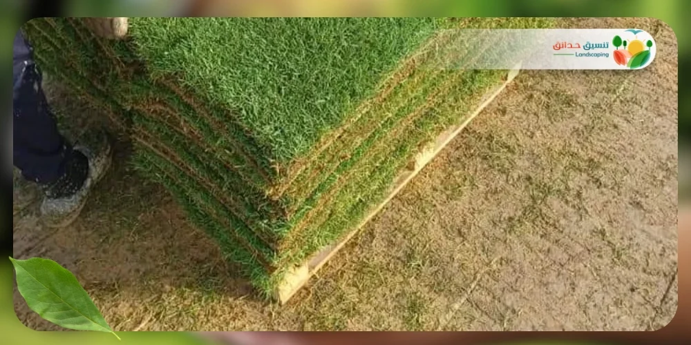 الثيل الطبيعي الياباني 2