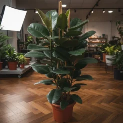 فيكس مطاط – مركن 15 ليتر ١