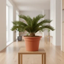 نخيل سايكس مركن 15لتر ٢