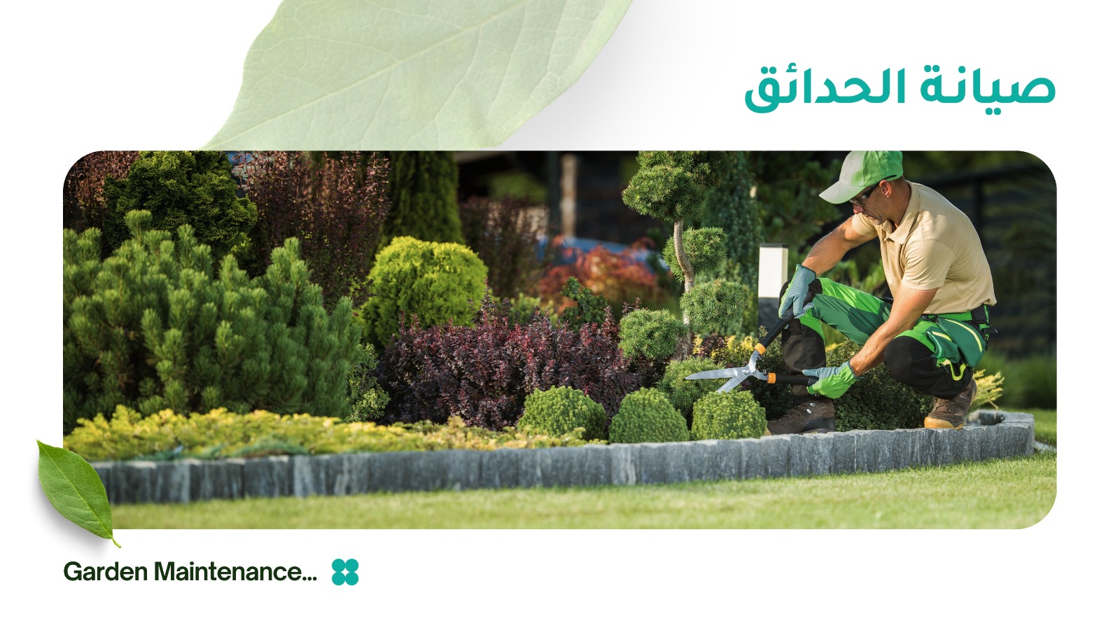 تقليم الأشجار وتنظيف الحدائق في السعودية