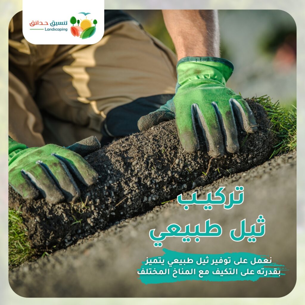 تركيب ثيل طبيعي من شركة تنسيق حدائق نجيل عشب