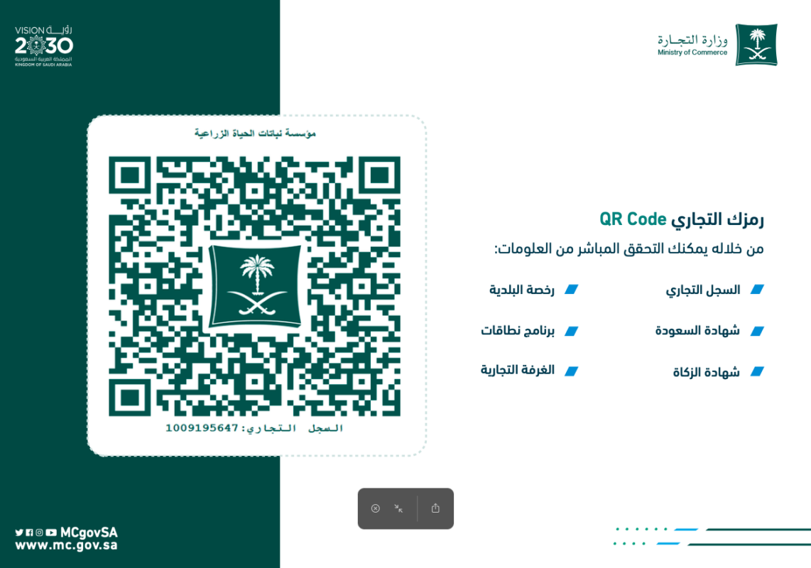 السجل التجاري ١