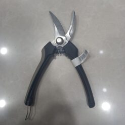 صورة مقص افرع أسباني الأصلي