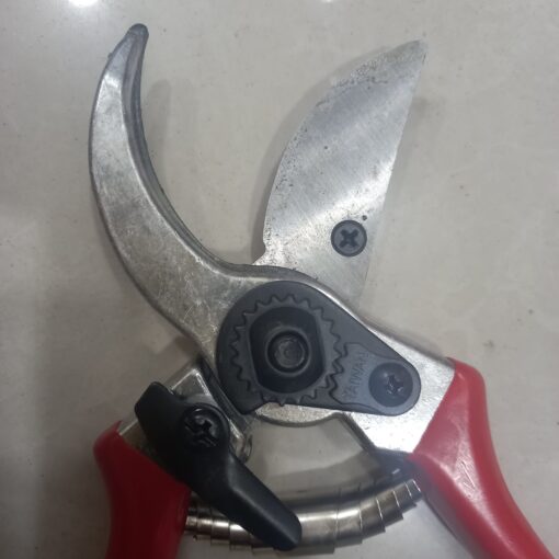 شفرات مقص نباتات تايواني ٣