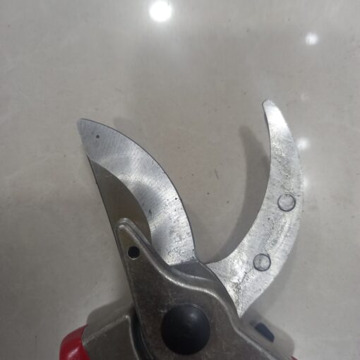 شفرة مقص نباتات تايواني ٤