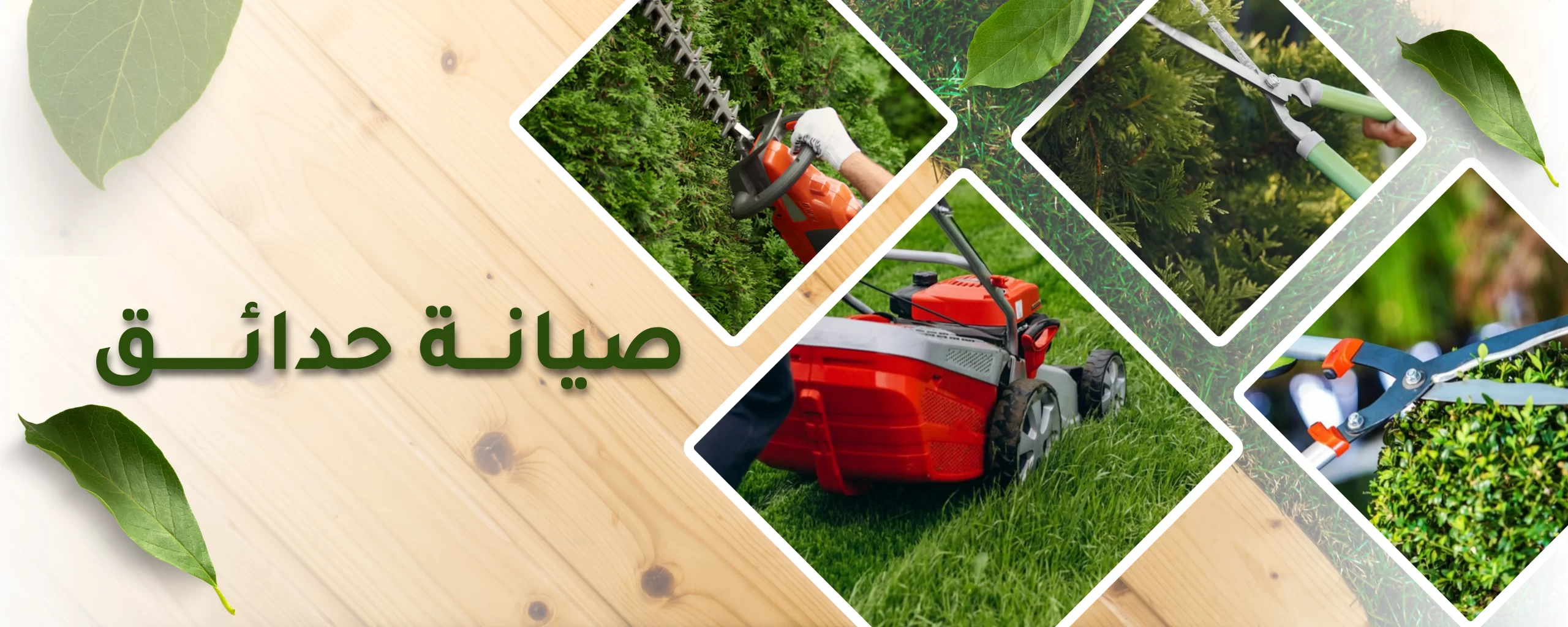 صيانة الحدائق الدورية من شركة تنسيق حدائق في السعودية