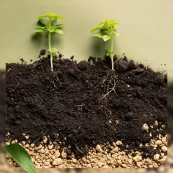 تربة وأسمدة