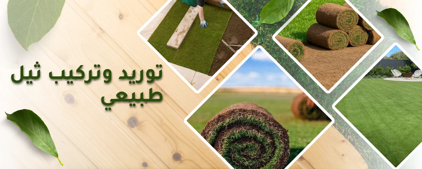 توريد وتركيب ثيل طبيعي