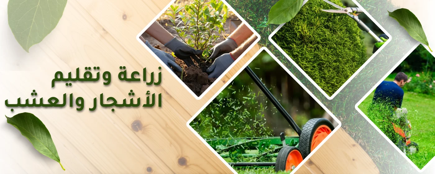 زراعة وتقليم الأشجار والعشب