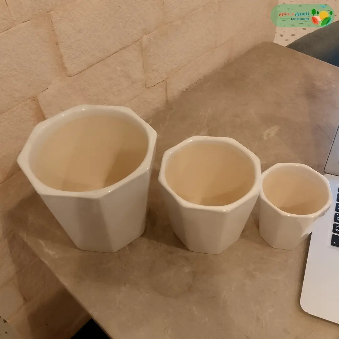 احواض نباتات سيراميك ابيض